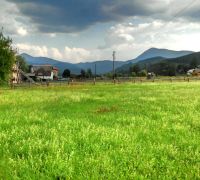 Участки земли